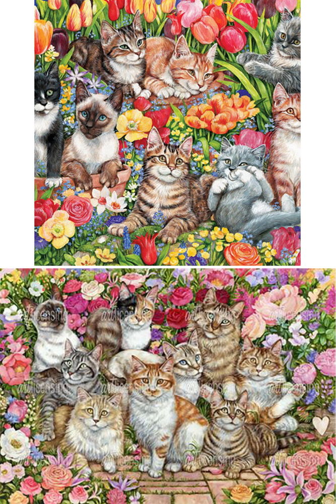 дебби кук дебби кук